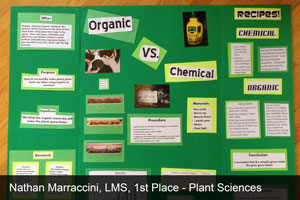 Student Projects Earn Regional Awards at Science Fair | LCS | Lynchburg ...