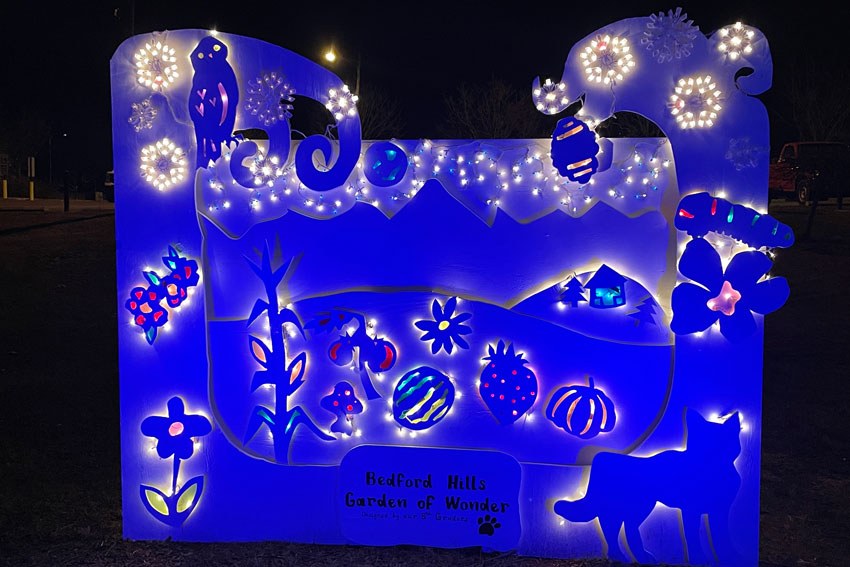 Bedford Hills "Garden of Wonder" light display at night