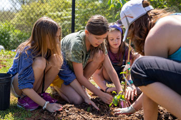 Three students working to plant a tree with an adult