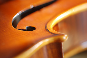 LCS Orchestra Students Selected for Regional Orchestra