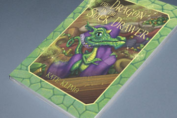 The Dragon in the Sock Drawer book cover