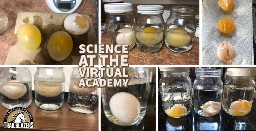 Science at the Virtual Academy - pictures of science experiments